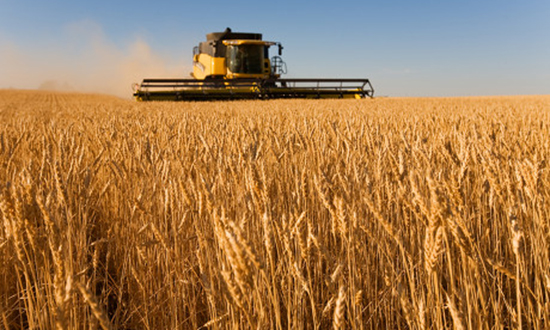 �r(n��ng)�I(y��)���