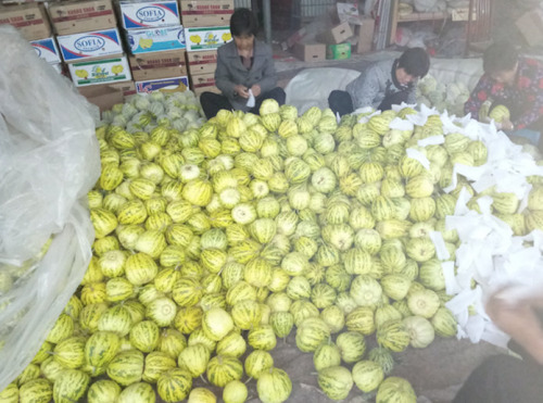 ���p����ӛ��ϲ�g�Lԇ���r�Ė|������һ����ƽ�_�e�k�Ļ��Ҳ�e�O���c���څ��c���^���У������H�A���˸����ُ�̵����Σ����r�aƷ���ƽ�_Ҳ���˸��õ����⡣�mȻ�����������@���ИI�]�ж�ã����Ǒ{���Լ���Ŭ���͸��ڇLԇ���⣬�����Լ���������·�������ġ�