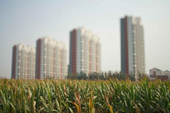 �zӰ�����T