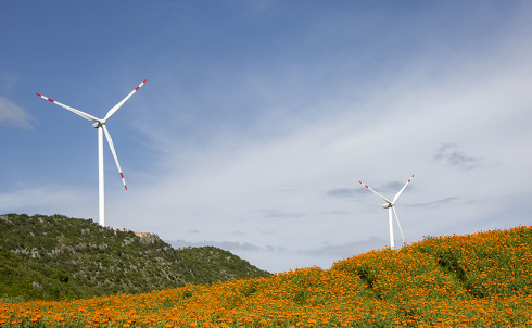 20231228115043653.png image.png