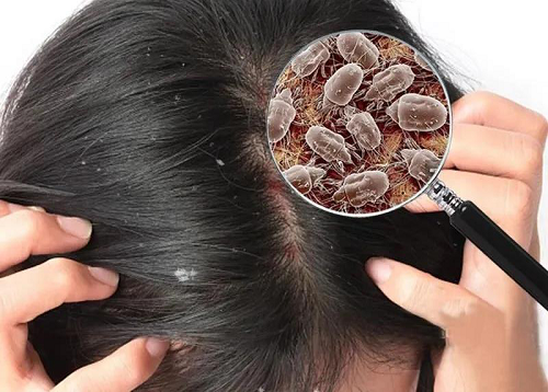 ���񴲉|���^�lԽ��Խ�ࣿ�e�ţ����������x�����֣�(�D4)