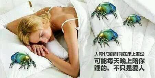 ���񴲉|���^�lԽ��Խ�ࣿ�e�ţ����������x�����֣�(�D7)