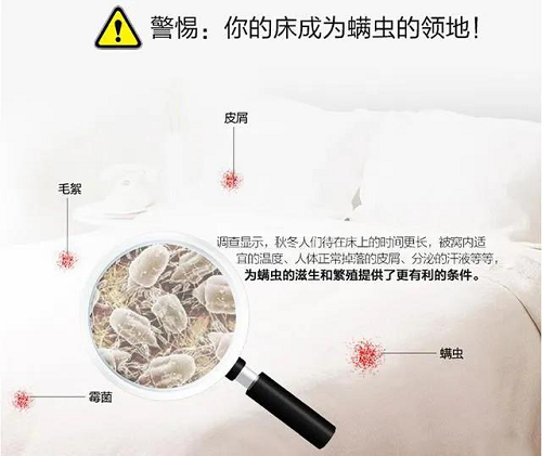 ���񴲉|���^�lԽ��Խ�ࣿ�e�ţ����������x�����֣�(�D6)