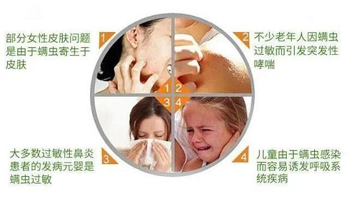 ���񴲉|���^�lԽ��Խ�ࣿ�e�ţ����������x�����֣�(�D5)