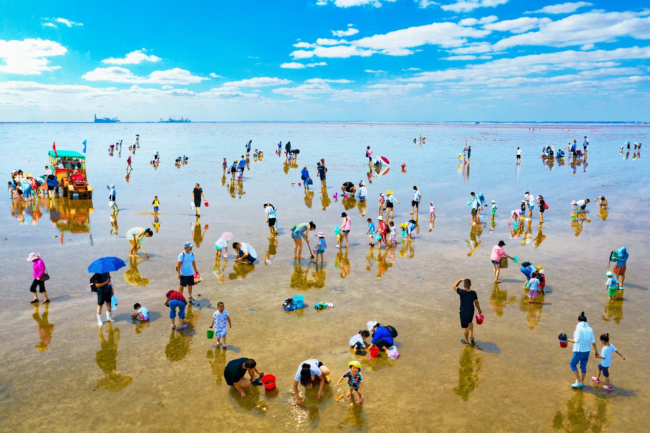 ��DƬ�o���@ʾ��Ոˢ�����