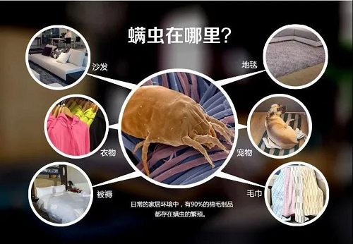 ���񴲉|���^�lԽ��Խ�ࣿ�e�ţ����������x�����֣�(�D1)